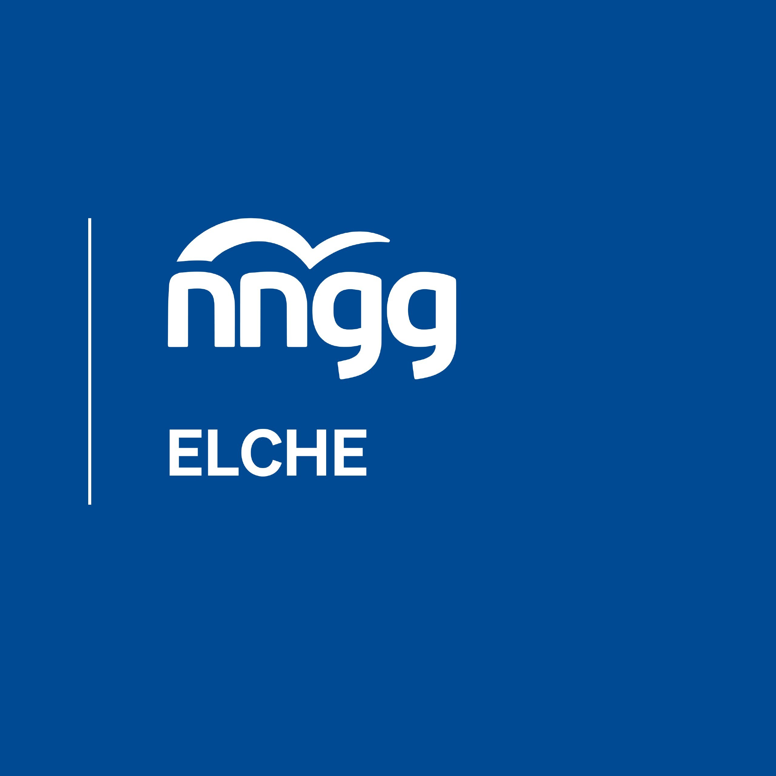 Nuevas Generaciones Elx