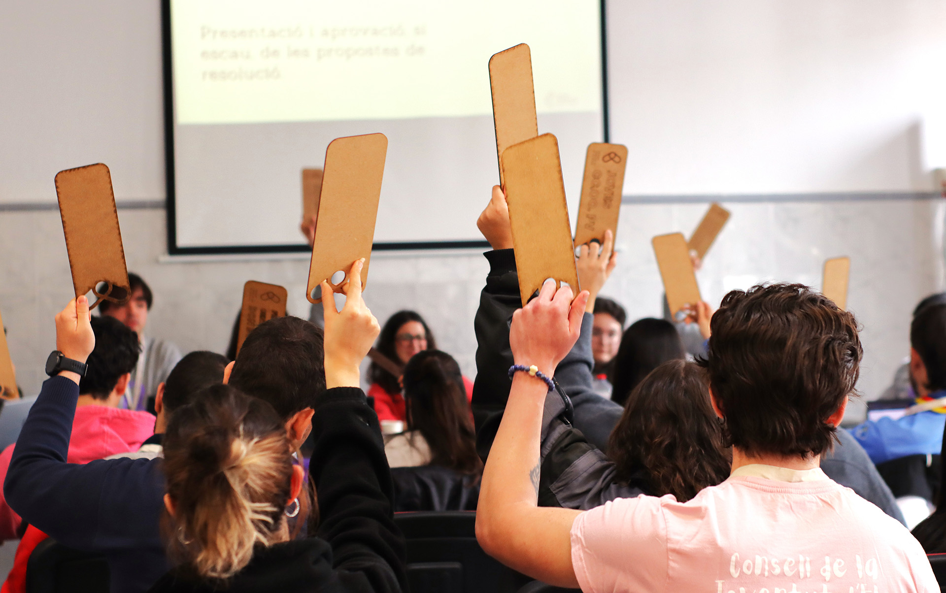 Defensar els interessos i els drets de la joventut, i col·laborar en la promoció d’una efectiva igualtat d’oportunitats de les persones joves en el seu desenvolupament polític, social, econòmic i cultural.
