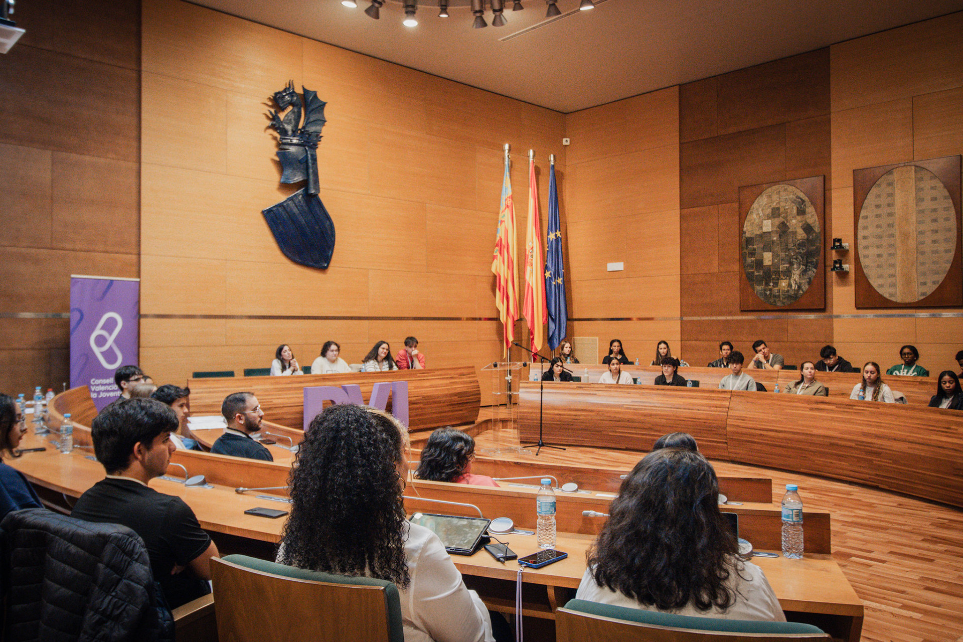 Representar el moviment associatiu juvenil valencià en les institucions de joventut
