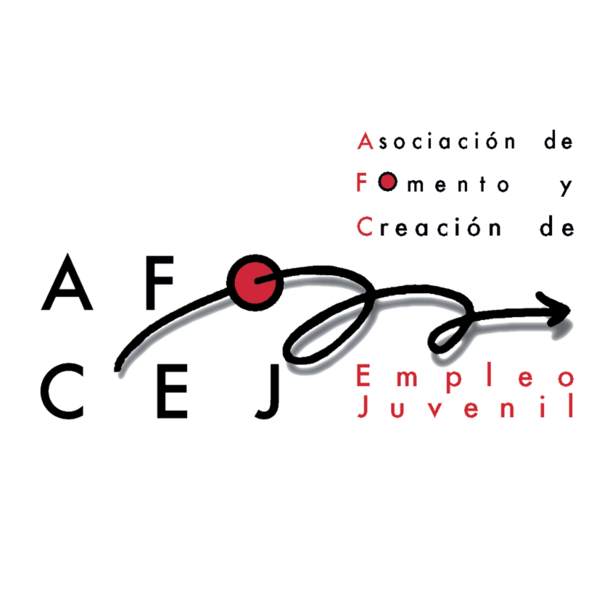 AFOCEJ: Asociación de Fomento y Creación de Empleo Juvenil